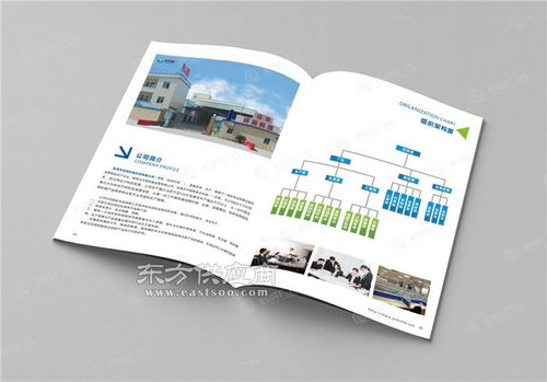 啟成廣告一步到位 玩具公司宣傳畫冊 東莞石碣公司宣傳畫冊圖片